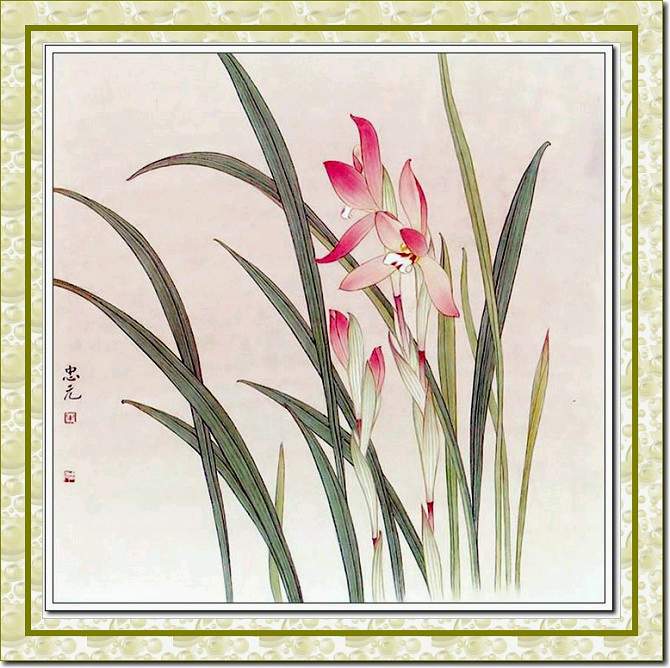 工笔兰花 —— 晋江文学城网友交流区